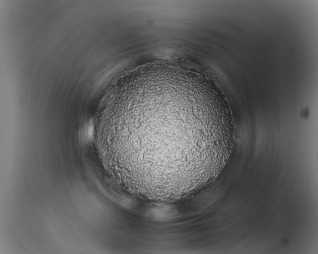 X0000114170095200910151647