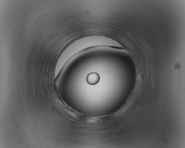 X0000114170096200910151647