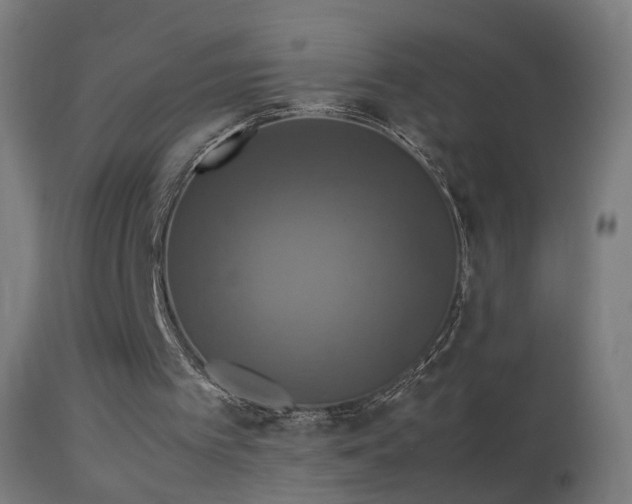 X0000114170097200910151646