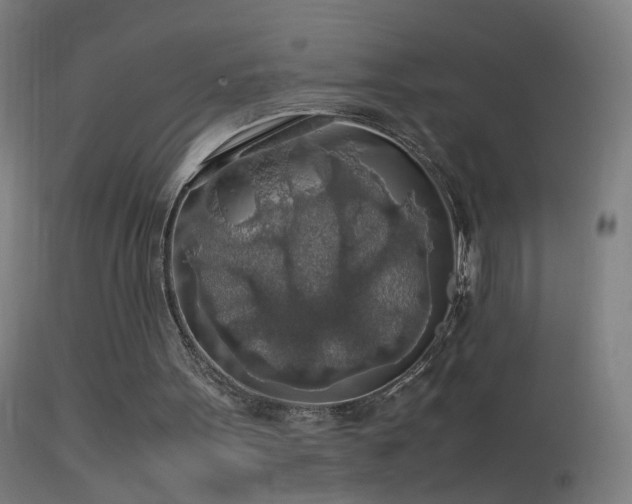 X0000114170099200910151646