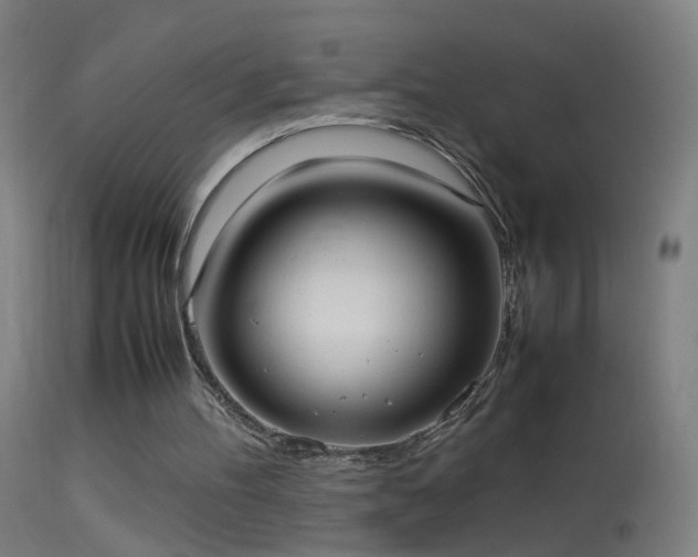 X0000114170100200910151646