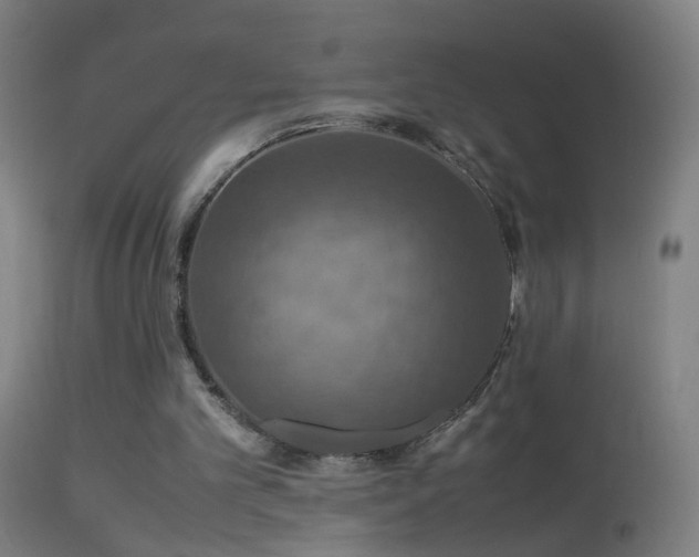 X0000114170101200910151646