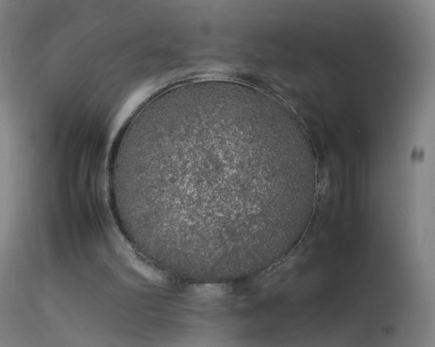 X0000114170102200910151646