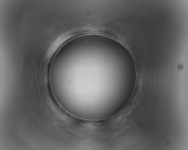 X0000114170103200910151646