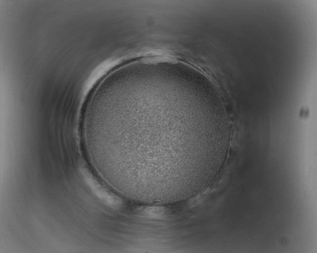 X0000114170104200910151646