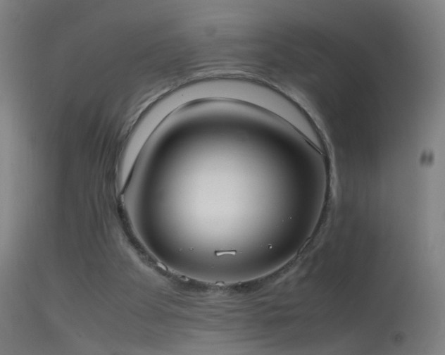 X0000114170105200910151646