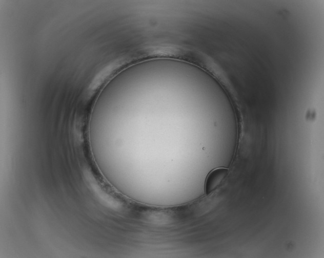 X0000114170106200910151646