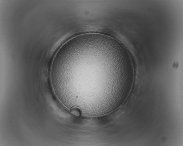 X0000114170107200910151646