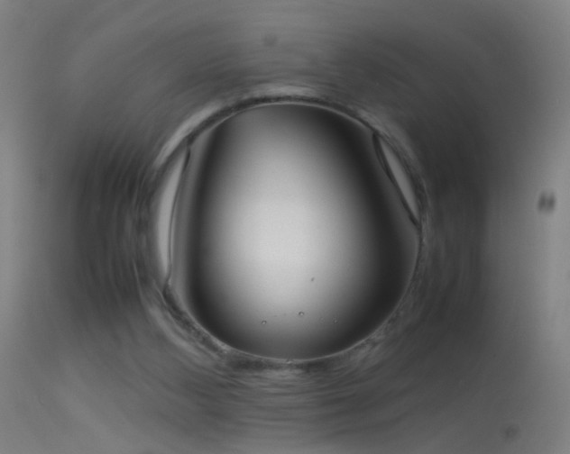 X0000114170108200910151646