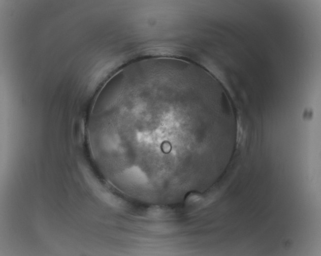 X0000114170109200910151646