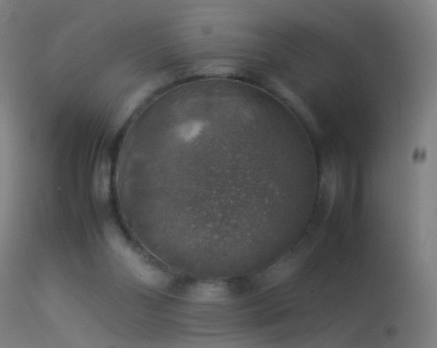 X0000114170110200910151646