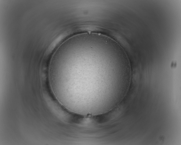 X0000114170111200910151646