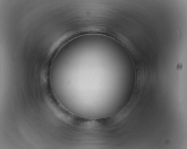 X0000114170112200910151646