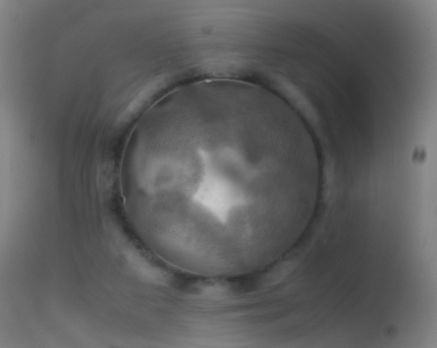 X0000114170113200910151646