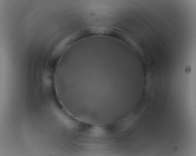 X0000114170114200910151646