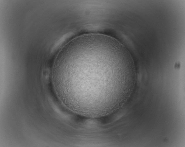 X0000114170115200910151646