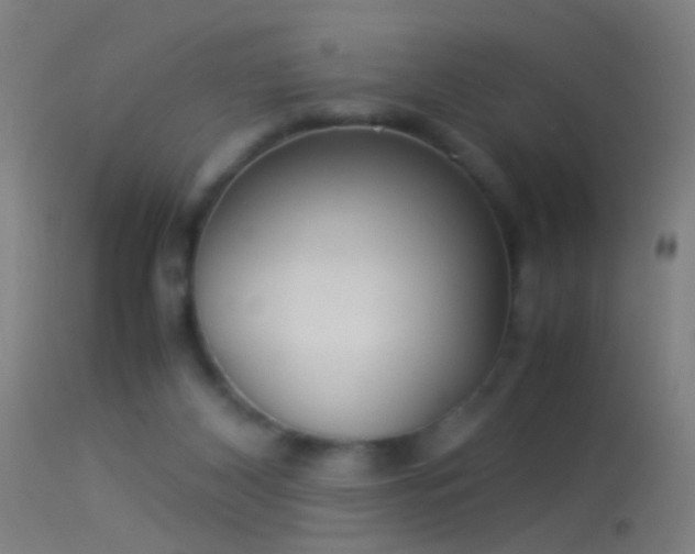 X0000114170116200910151646