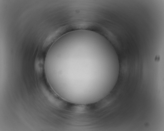 X0000114170118200910151646