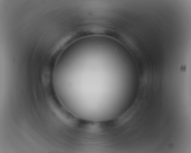 X0000114170120200910151646