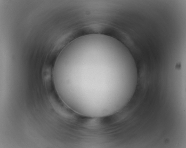 X0000114170122200910151646