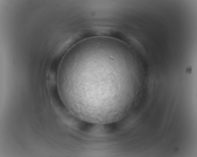 X0000114170123200910151646