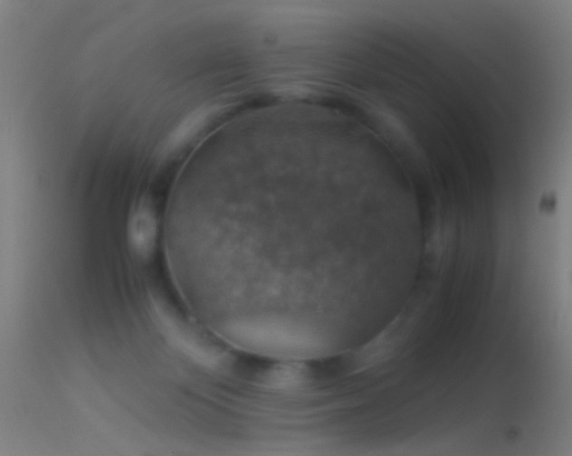 X0000114170124200910151646