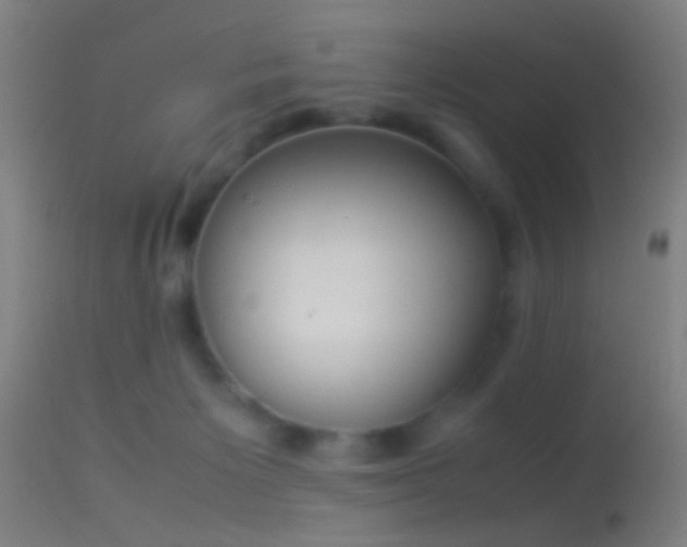 X0000114170125200910151646