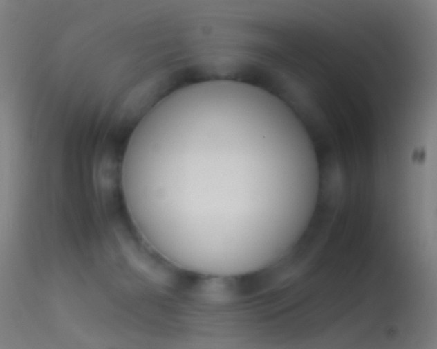 X0000114170126200910151646