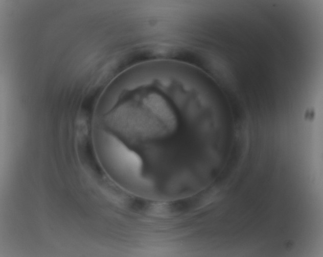 X0000114170127200910151646