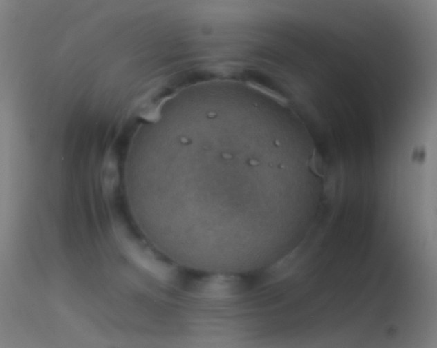 X0000114170128200910151646