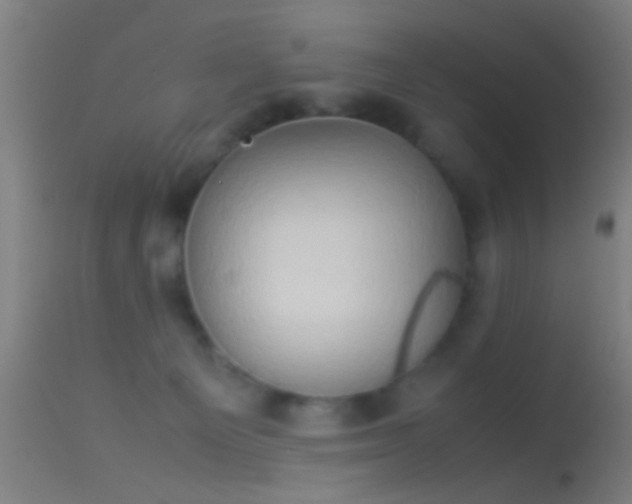 X0000114170129200910151646