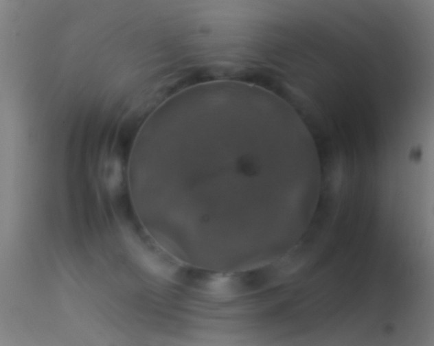 X0000114170130200910151646