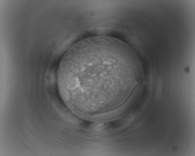 X0000114170131200910151646