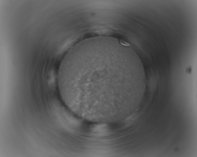 X0000114170132200910151646