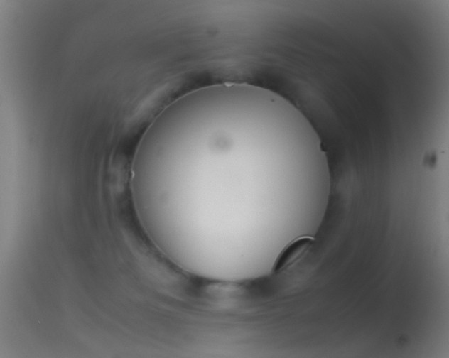 X0000114170133200910151646