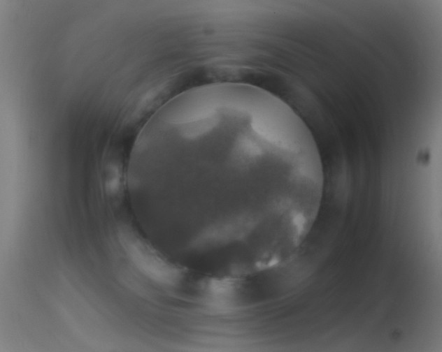 X0000114170134200910151646