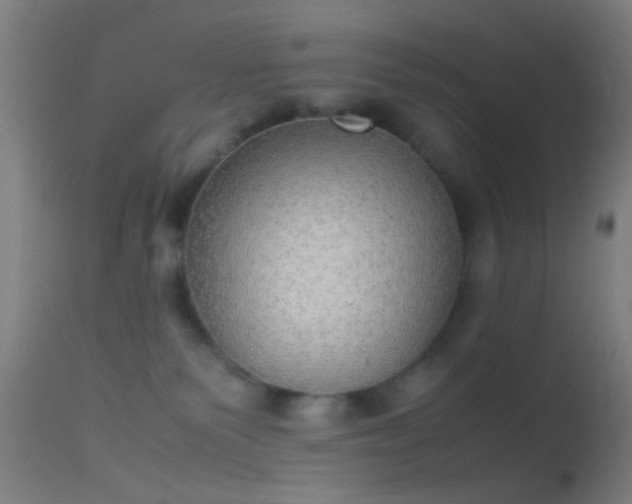 X0000114170135200910151646