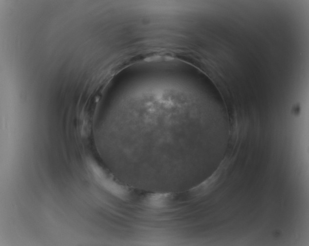 X0000114170136200910151646