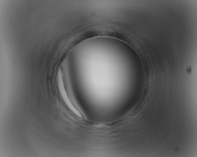 X0000114170137200910151646