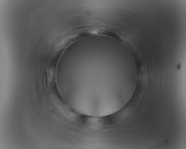 X0000114170139200910151646