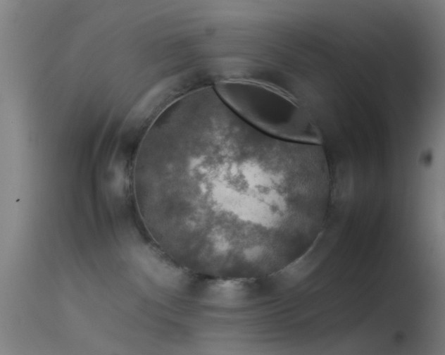 X0000114170140200910151646