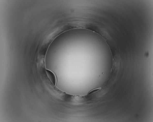 X0000114170141200910151646