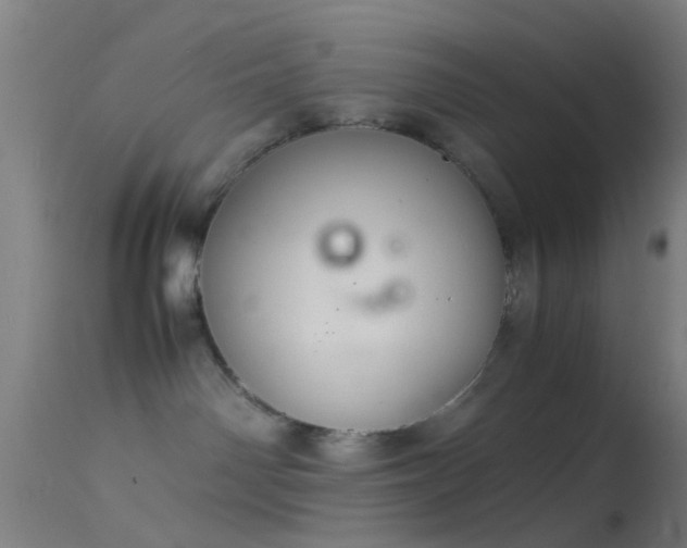 X0000114170142200910151646