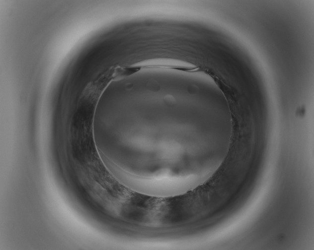 X0000114170143200910151645