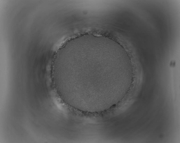 X0000114170144200910151645