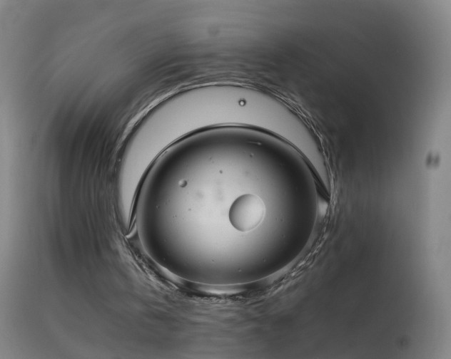 X0000114170146200910151645