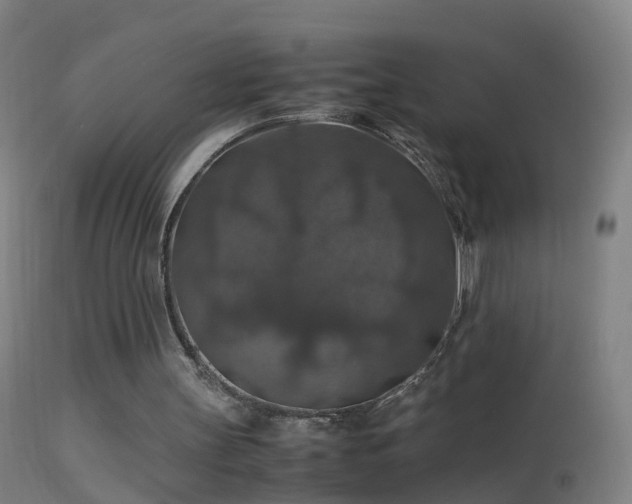 X0000114170147200910151645