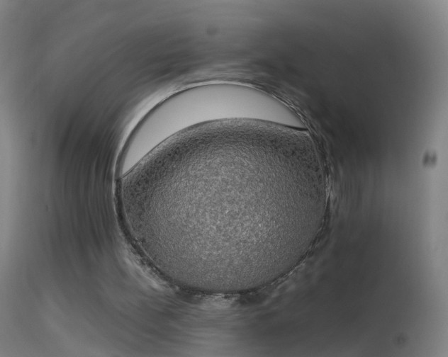 X0000114170148200910151645