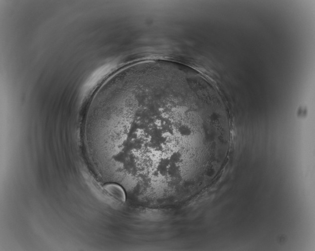 X0000114170149200910151645