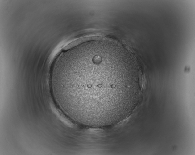 X0000114170150200910151645